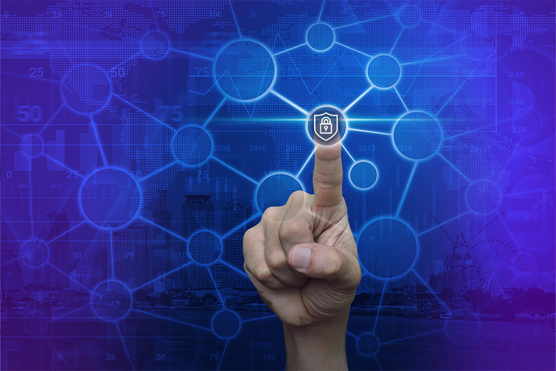 Crowd Management & Security